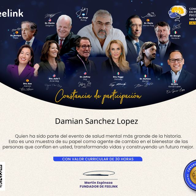 Ampliar imagen: certificate 2