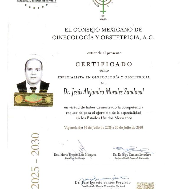Ampliar imagen: certificate 2