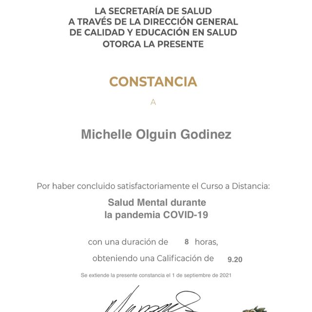 Ampliar imagen: certificate 10