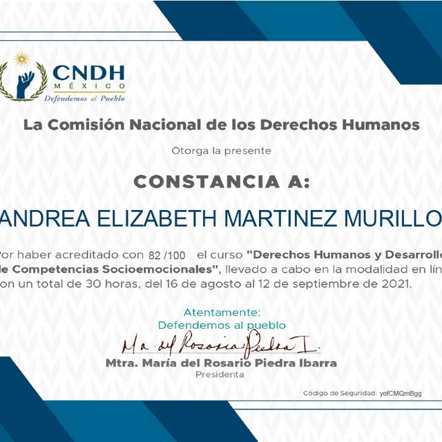 Ampliar imagen: certificate 13