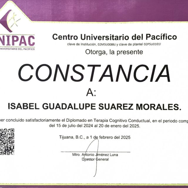 Ampliar imagen: certificate 3