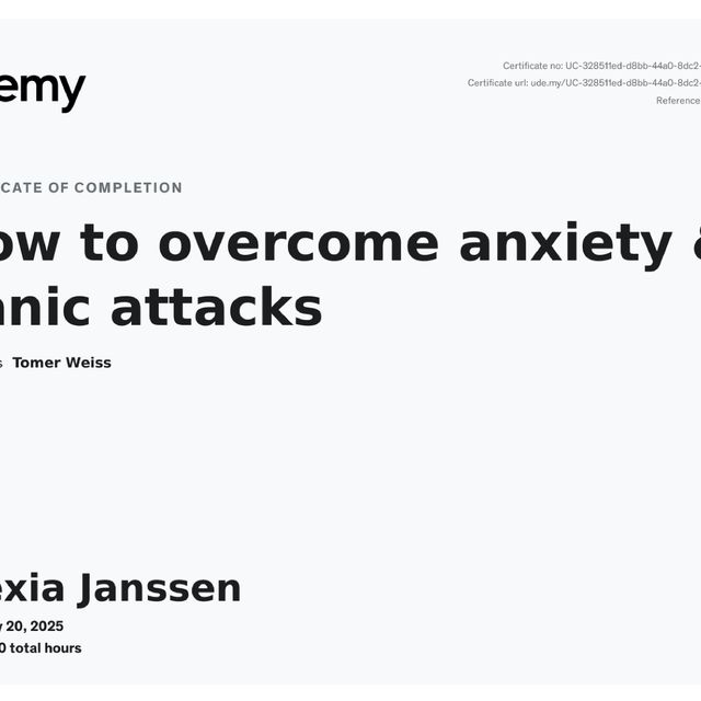 Ampliar imagen: certificate 4