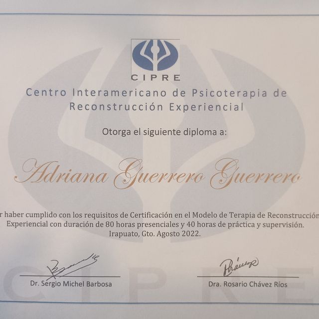 Ampliar imagen: certificate 2