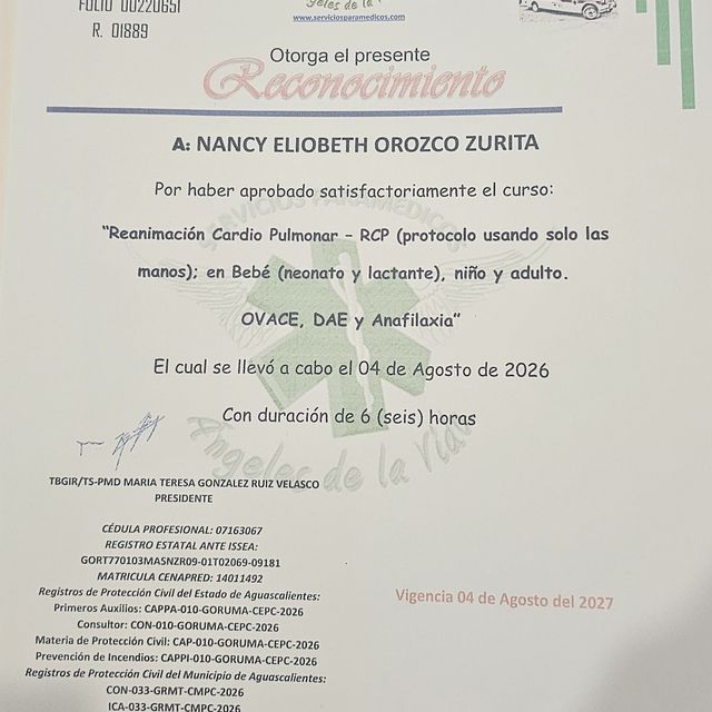 Ampliar imagen: certificate 6