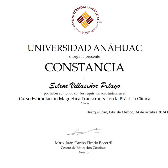 Ampliar imagen: certificate 8