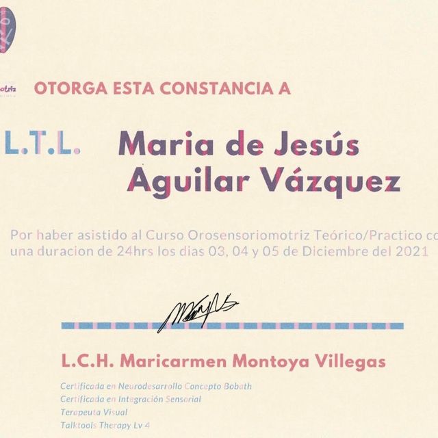 Ampliar imagen: certificate 11