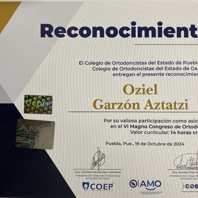 Ampliar imagen: certificate 11