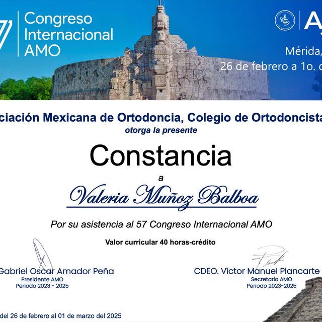 Ampliar imagen: certificate 4