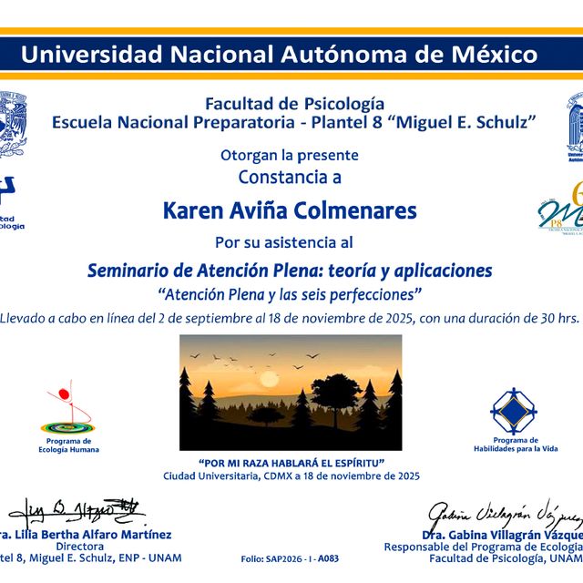 Ampliar imagen: certificate 1