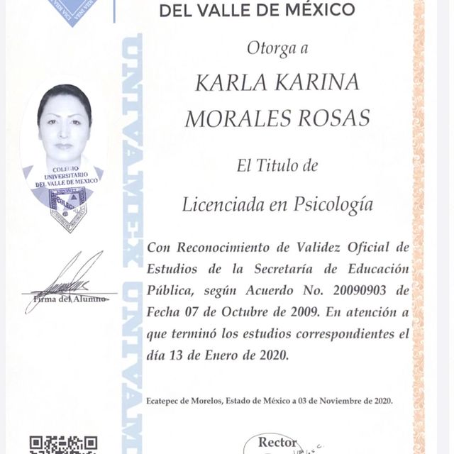 Ampliar imagen: certificate 4