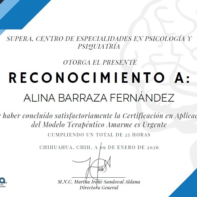 Ampliar imagen: certificate 3