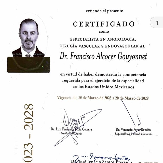 Ampliar imagen: certificate 1