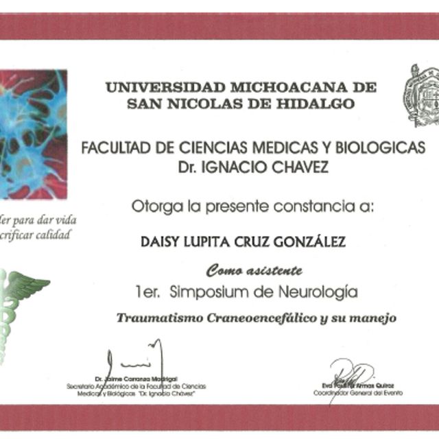 Ampliar imagen: certificate 2