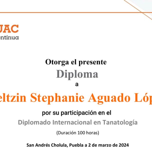 Ampliar imagen: certificate 3