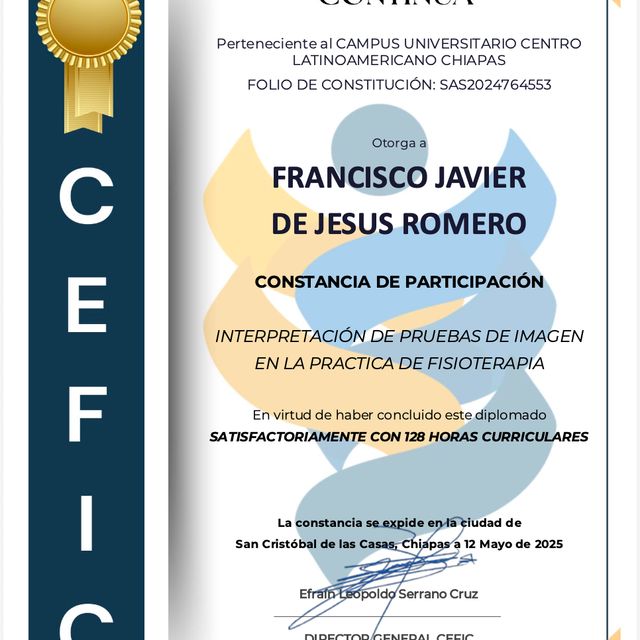 Ampliar imagen: certificate 1