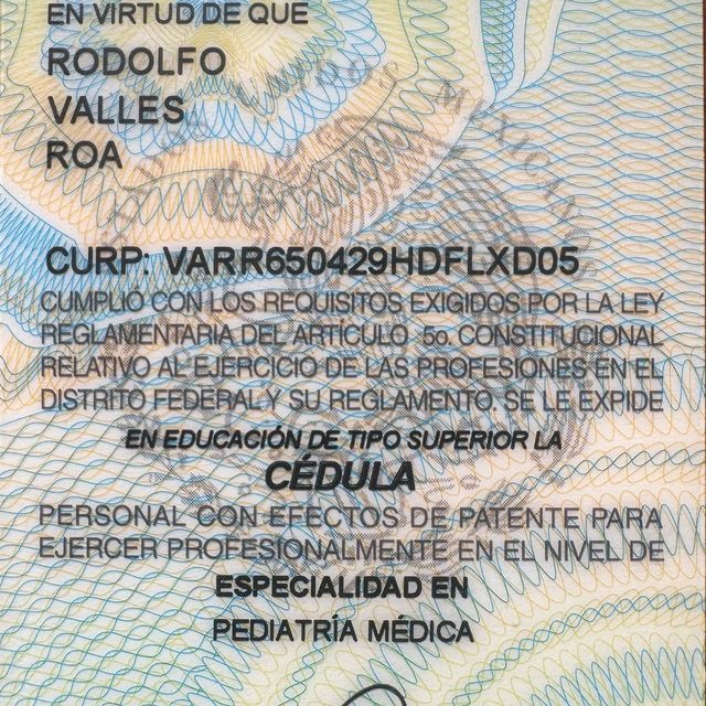 Ampliar imagen: certificate 2