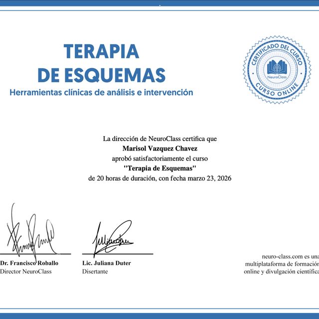 Ampliar imagen: certificate 2