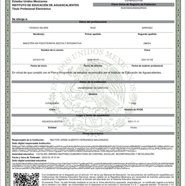 Ampliar imagen: certificate 13