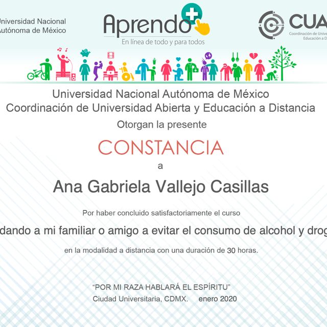Ampliar imagen: certificate 12