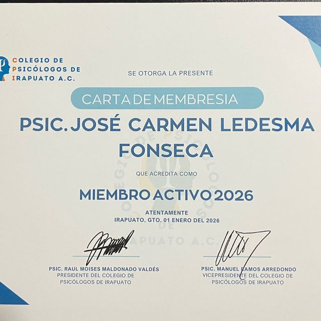 Ampliar imagen: certificate 31