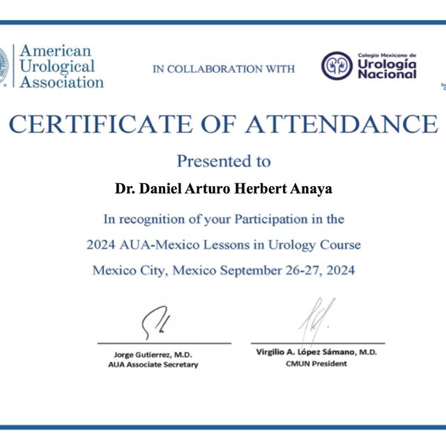 Ampliar imagen: certificate 4