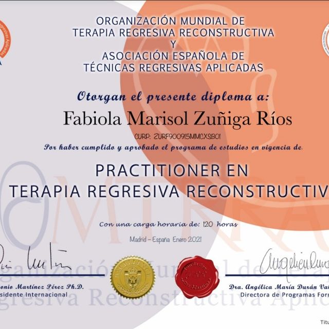 Ampliar imagen: certificate 5