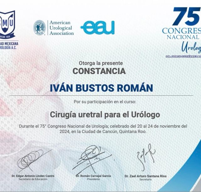 Ampliar imagen: certificate 15