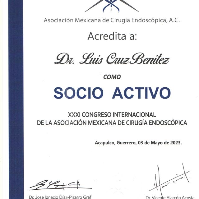 Ampliar imagen: certificate 2