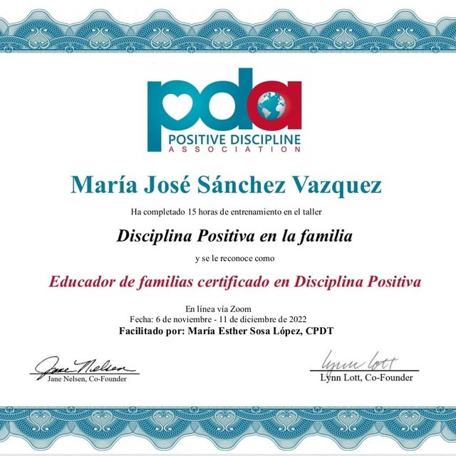 Ampliar imagen: certificate 2