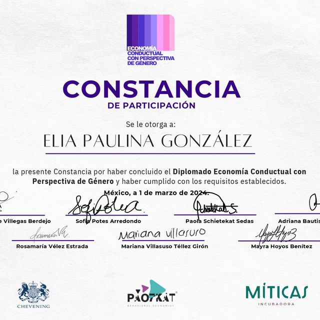 Ampliar imagen: certificate 1