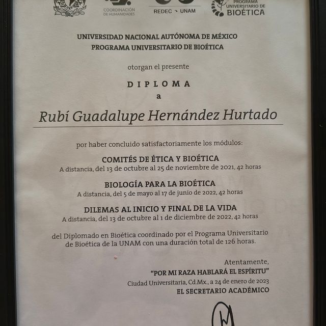 Ampliar imagen: certificate 2