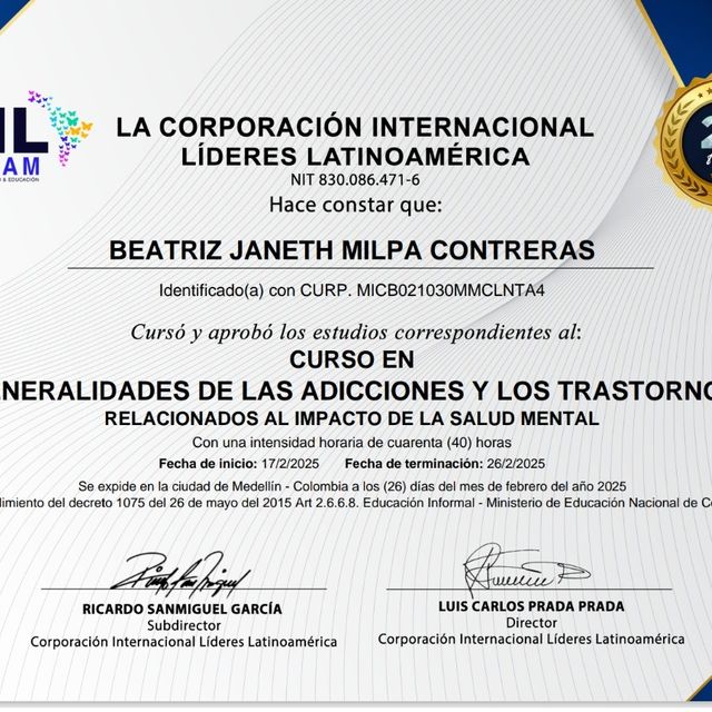 Ampliar imagen: certificate 4