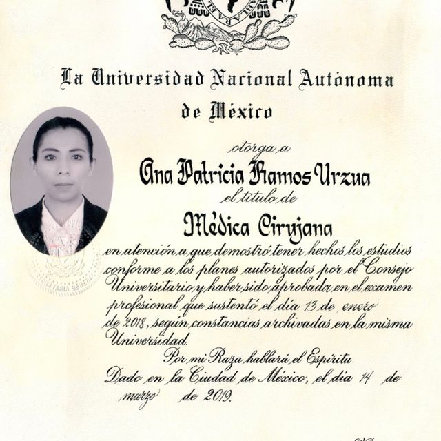 Ampliar imagen: certificate 3