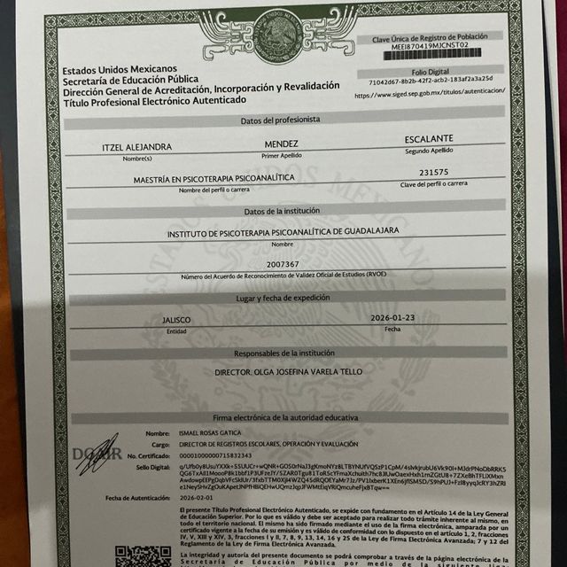 Ampliar imagen: certificate 12