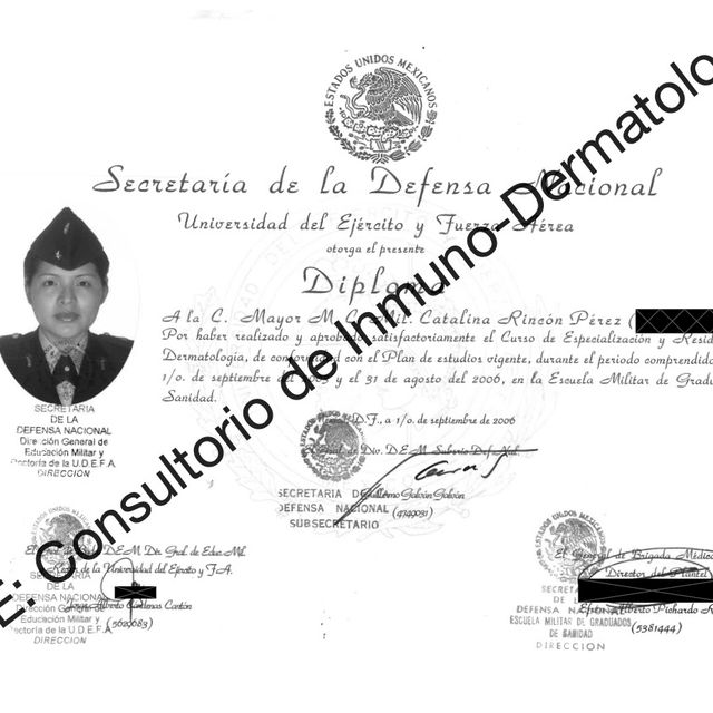 Ampliar imagen: certificate 3
