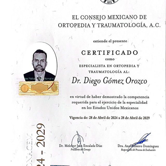 Ampliar imagen: certificate 1