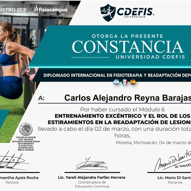Ampliar imagen: certificate 7