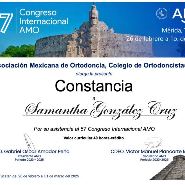 Ampliar imagen: certificate 4