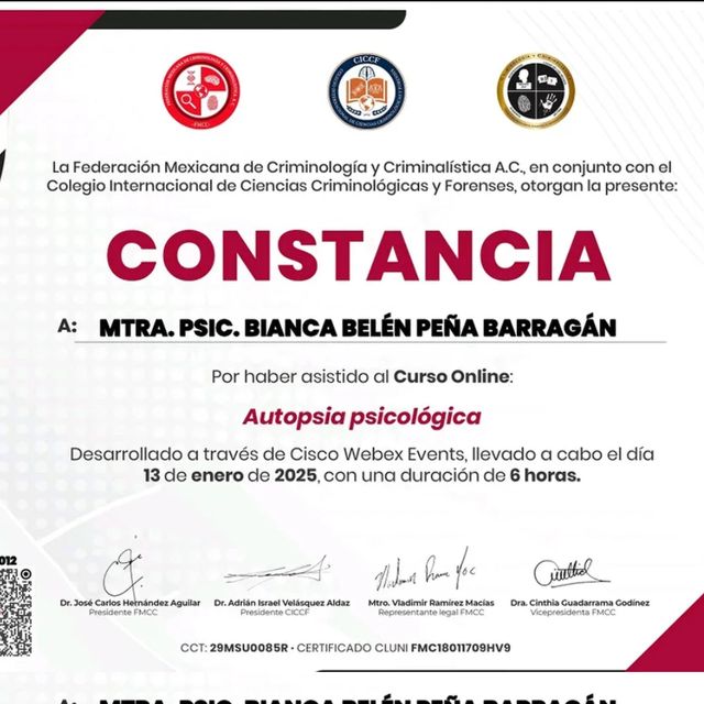 Ampliar imagen: certificate 17