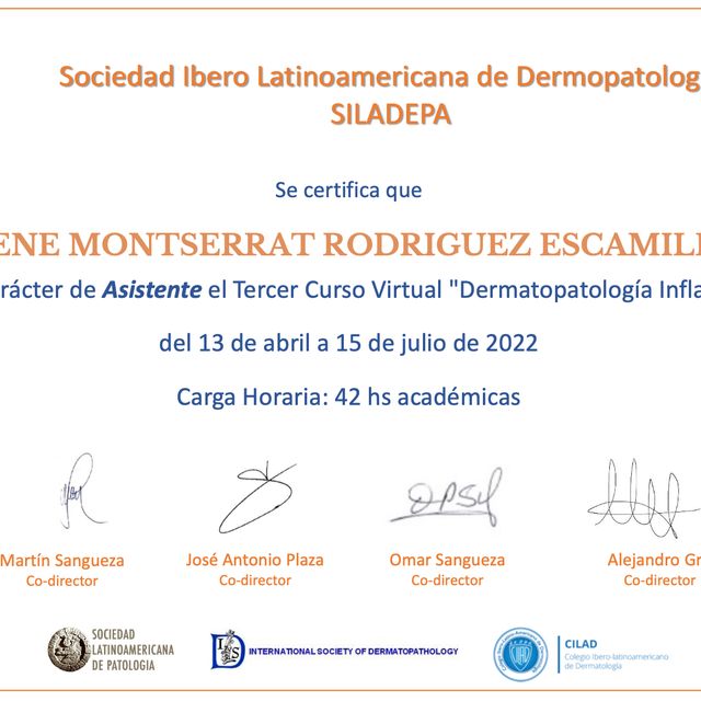 Ampliar imagen: certificate 7