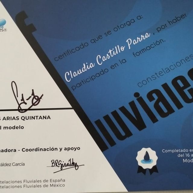 Ampliar imagen: certificate 3