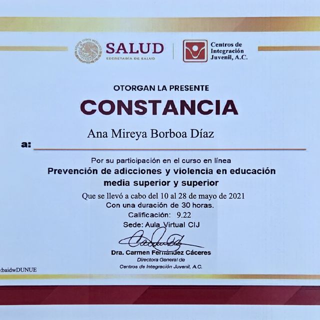 Ampliar imagen: certificate 2