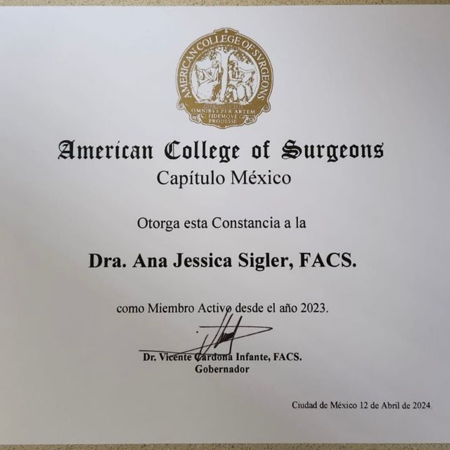 Ampliar imagen: certificate 1