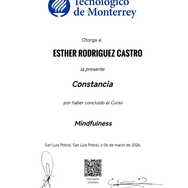 Ampliar imagen: certificate 10
