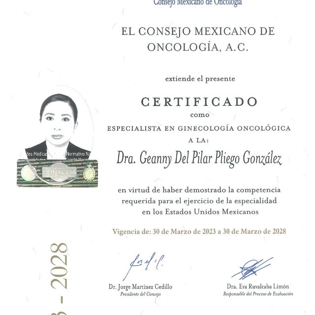 Ampliar imagen: certificate 1