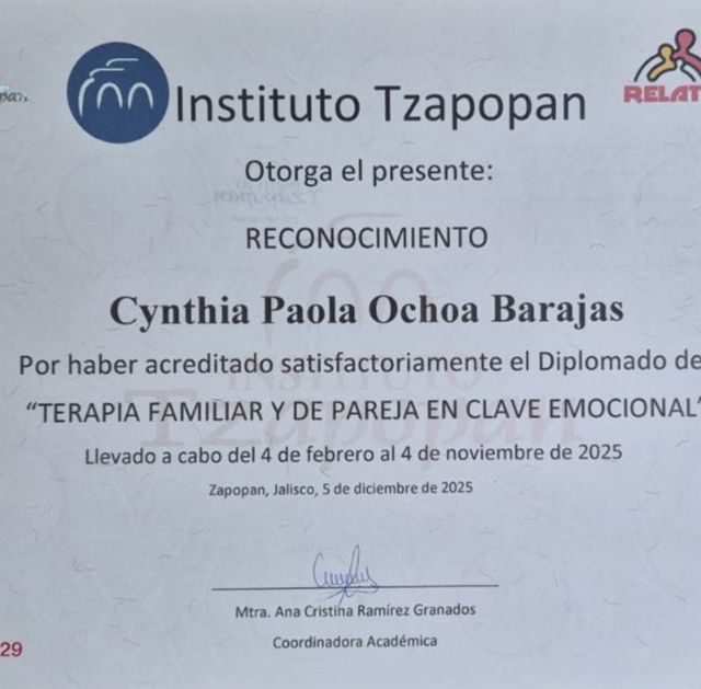 Ampliar imagen: certificate 3