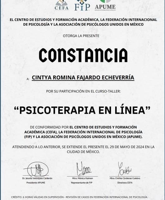 Ampliar imagen: certificate 2