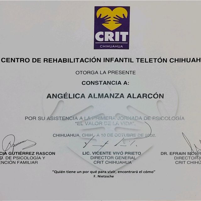 Ampliar imagen: certificate 11