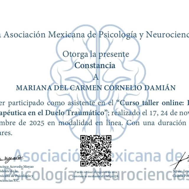 Ampliar imagen: certificate 6