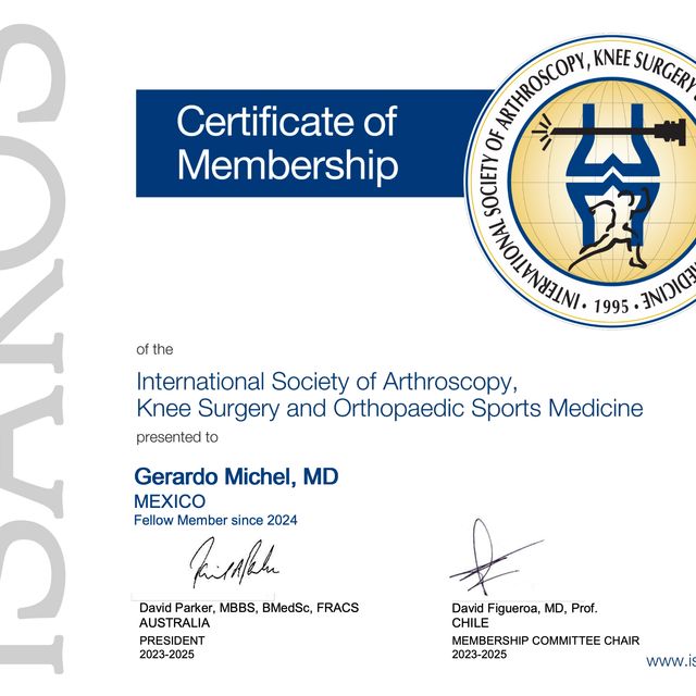 Ampliar imagen: certificate 4